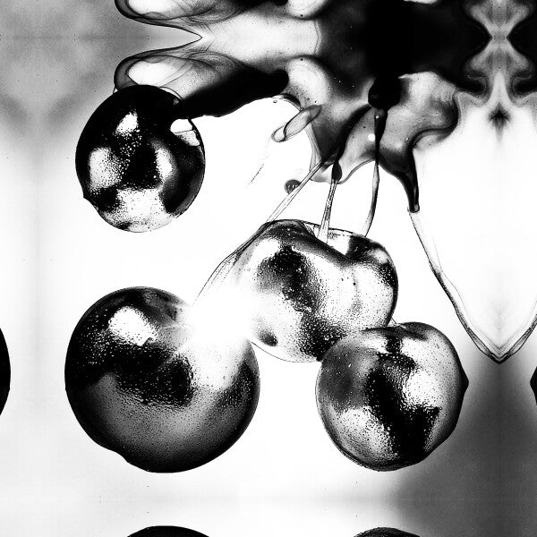 Sun Baked Cherries Canvas