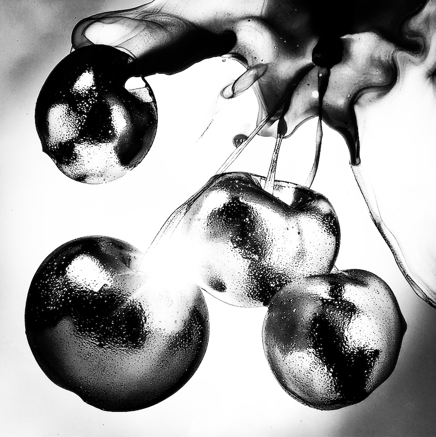 Sun Baked Cherries Canvas