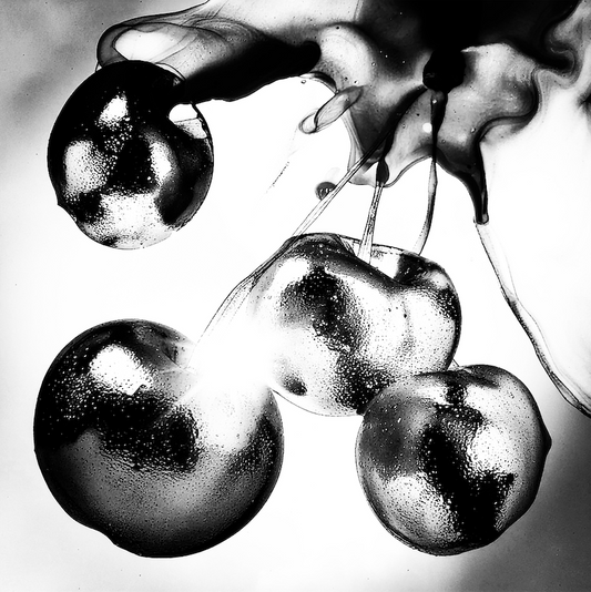 Sun Baked Cherries Canvas